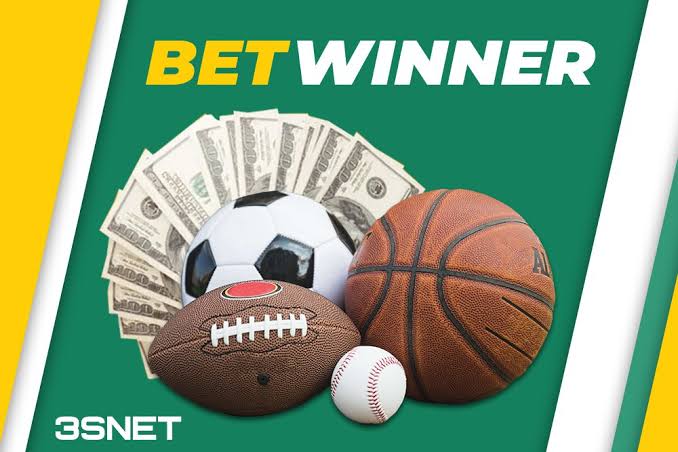 Experience Excitement at BetWinner Casino A Comprehensive Guide