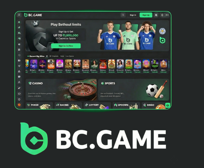Step-by-Step Guide to the BC.Game Registration Process -383247760